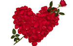 images(6)