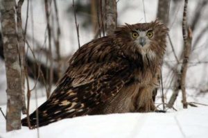 fc1d74985fb392e1cb8348ca45626e83-jpgjpg3480x