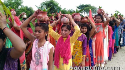 नवगछिया : नया टोला भवनपुरा में निकाली कलश शोभायात्रा.. 251 महिलाएं शामिल