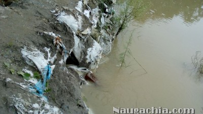 जगतपुर, गरैया, कनकी टोला, छोटी परवत्ता, खगड़ा में भीषण बाढ़ से हो सकती है तबाही – Naugachia News