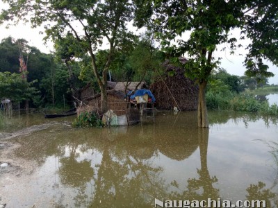 अनुमंडल में गंगा-कोसी का तांडव दर्जनों गांवों के घरों में घुसने से मची अफरातफरी -Naugachia News