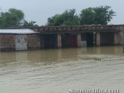 पंचायत के छ: गांव बाढ की चपेट में, मध्य बिधालय अमरी,मध्य बिधालय नुरुउद्दीनपुर दुधैला में पानी प्रवेश -Naugachia News