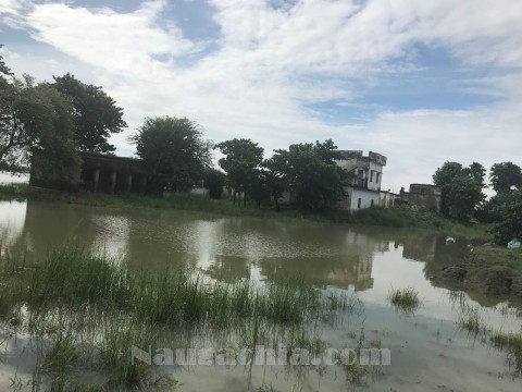 नवगछिया के दर्जन घरों में घुसा बाढ़ का पानी, गांव पर मंडराने लगा है बाढ़ का खतरा -Naugachia News