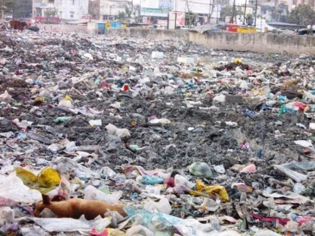 pnc kachra dumping 650x488 jpg 80