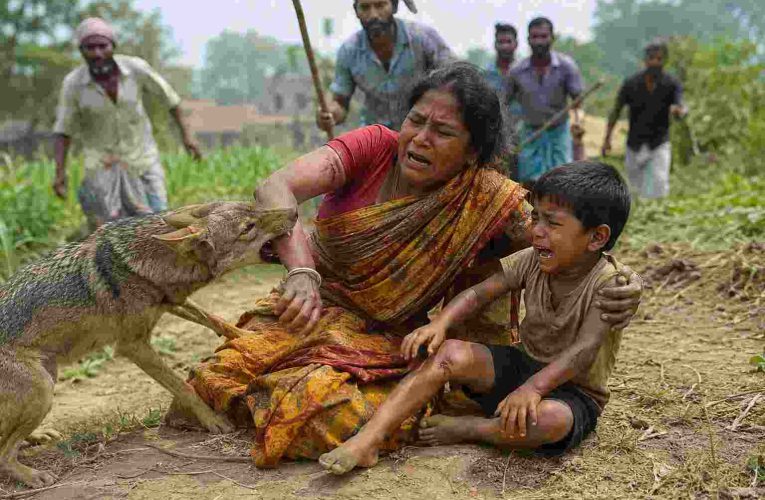 नवगछिया : खेत में काम कर रही महिला और मासूम पर सियार का हमला